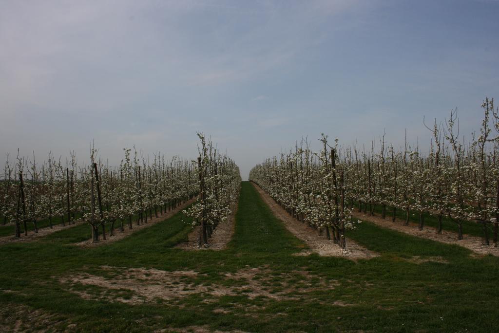 B&B Horpala Heers Exterior photo